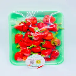 Red Chakra Pepper